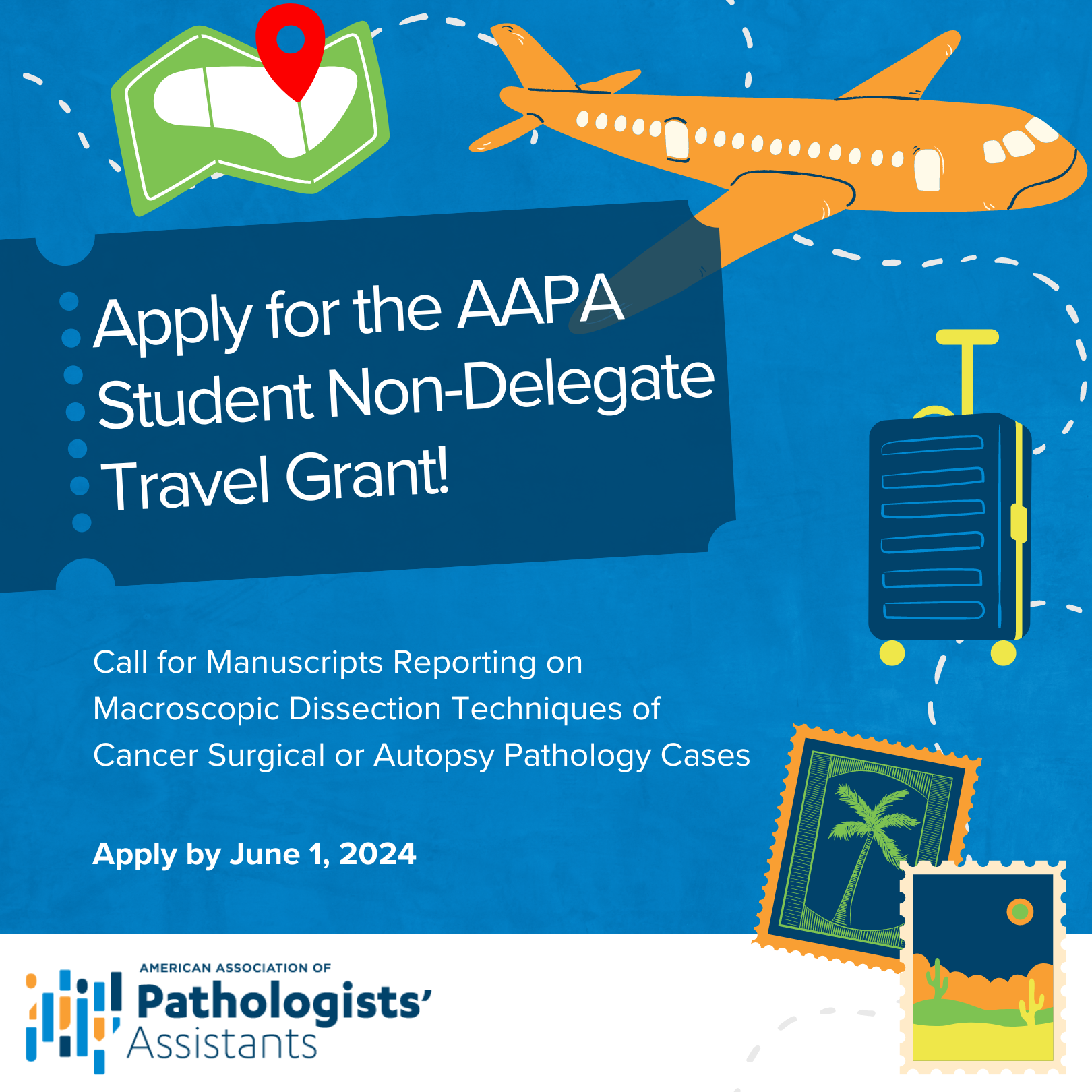 2024 Student Non-Delegate Travel Grant